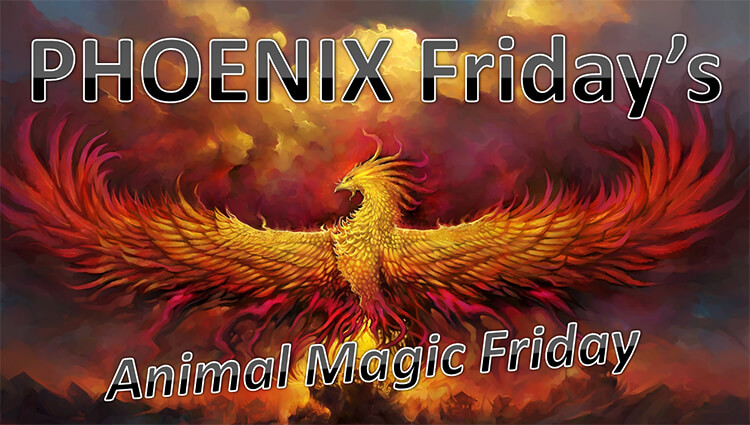 PHOENIX Fridays - Animal Magic Friday